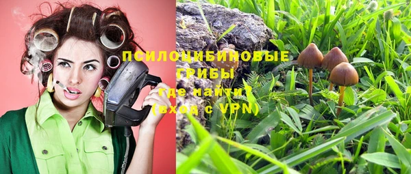 spice Каменка