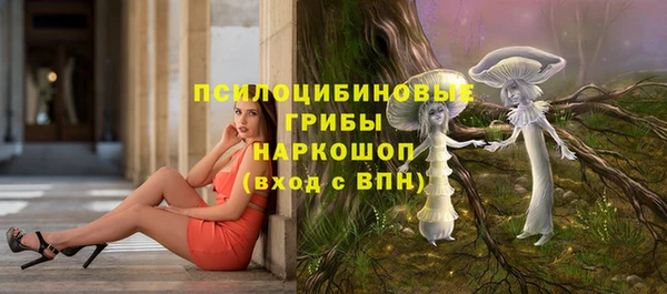 spice Каменка